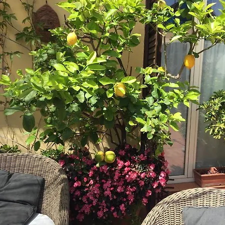 Terrazza Duomo فندق مبيت وإفطار