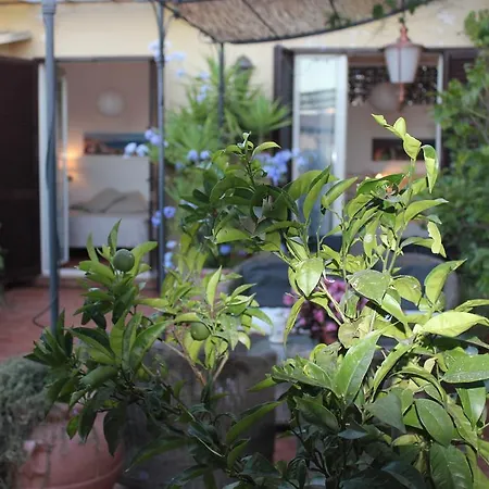 特蕾萨多摩住宿加早餐旅馆 住宿加早餐酒店