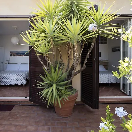 Terrazza Duomo B&B 나폴리