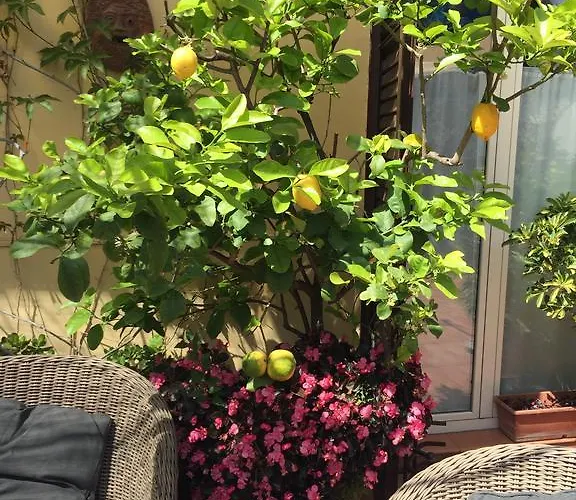 Terrazza Duomo Bed & Breakfast